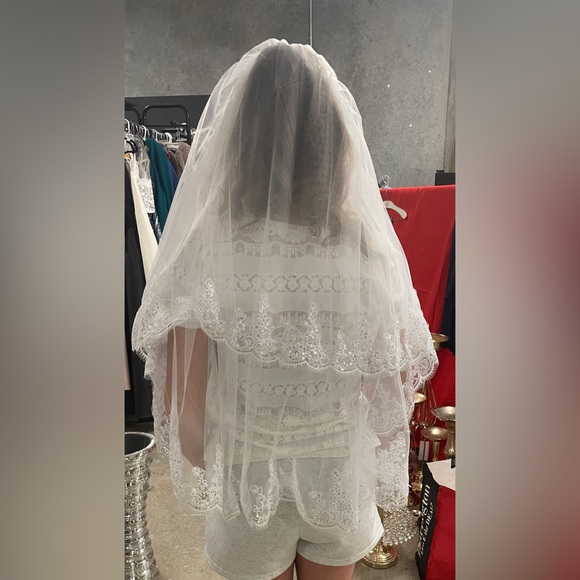 Veil - Picture 6 of 6